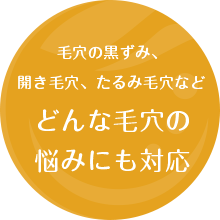 毛穴の黒ずみ、開き毛穴、たるみ毛穴など、どんな毛穴の悩みにも対応